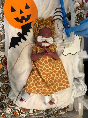 Baby Dominic, Baylor Scott & White Medical Center - Hillcrest