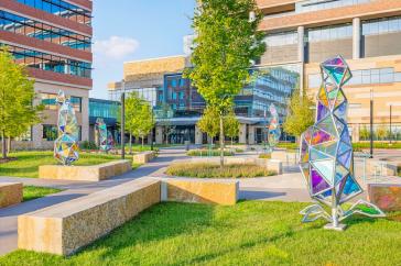 Picturesque view of the blue bonnet sculptures
in the front entrance of Baylor Scott & White
Medical Center – Frisco at PGA Parkway.
