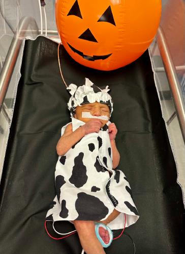 Baby Luna, Baylor Scott & White Medical Center – Temple